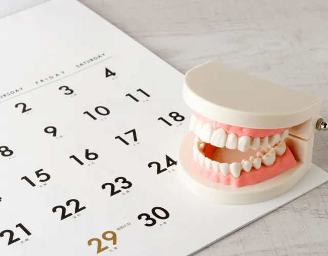 動かす歯が少ないため治療期間が短い